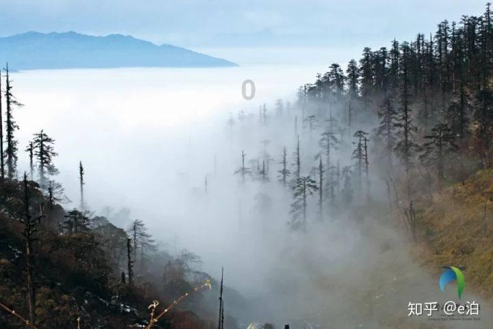 想要控糖 科学运动不能少