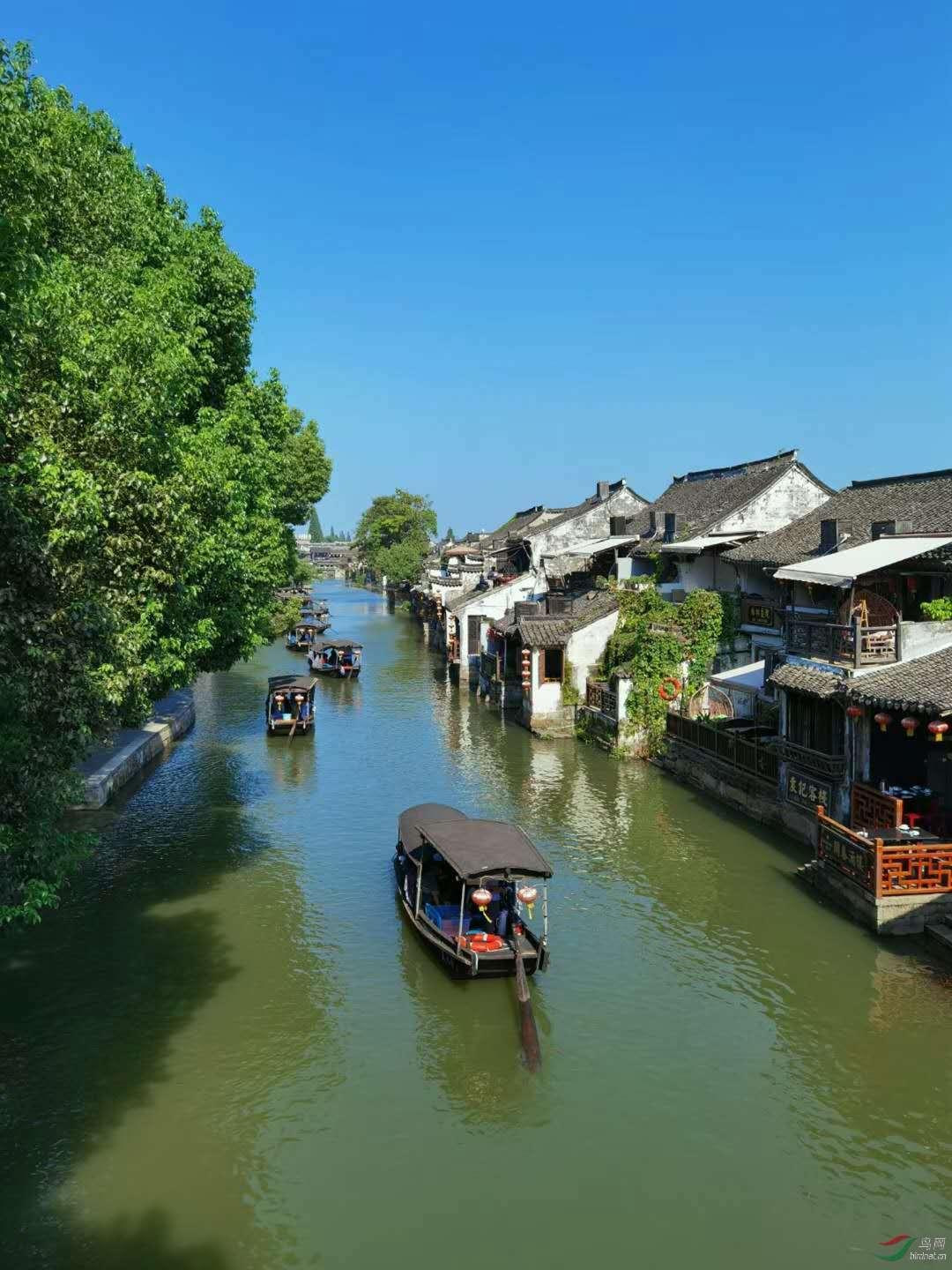 爱旅行的芭比